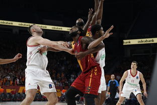 乐鱼体育-拜仁险胜加拿大，哈兰德爆发神勇